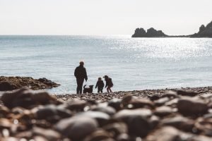 Dog friendly Jersey beaches